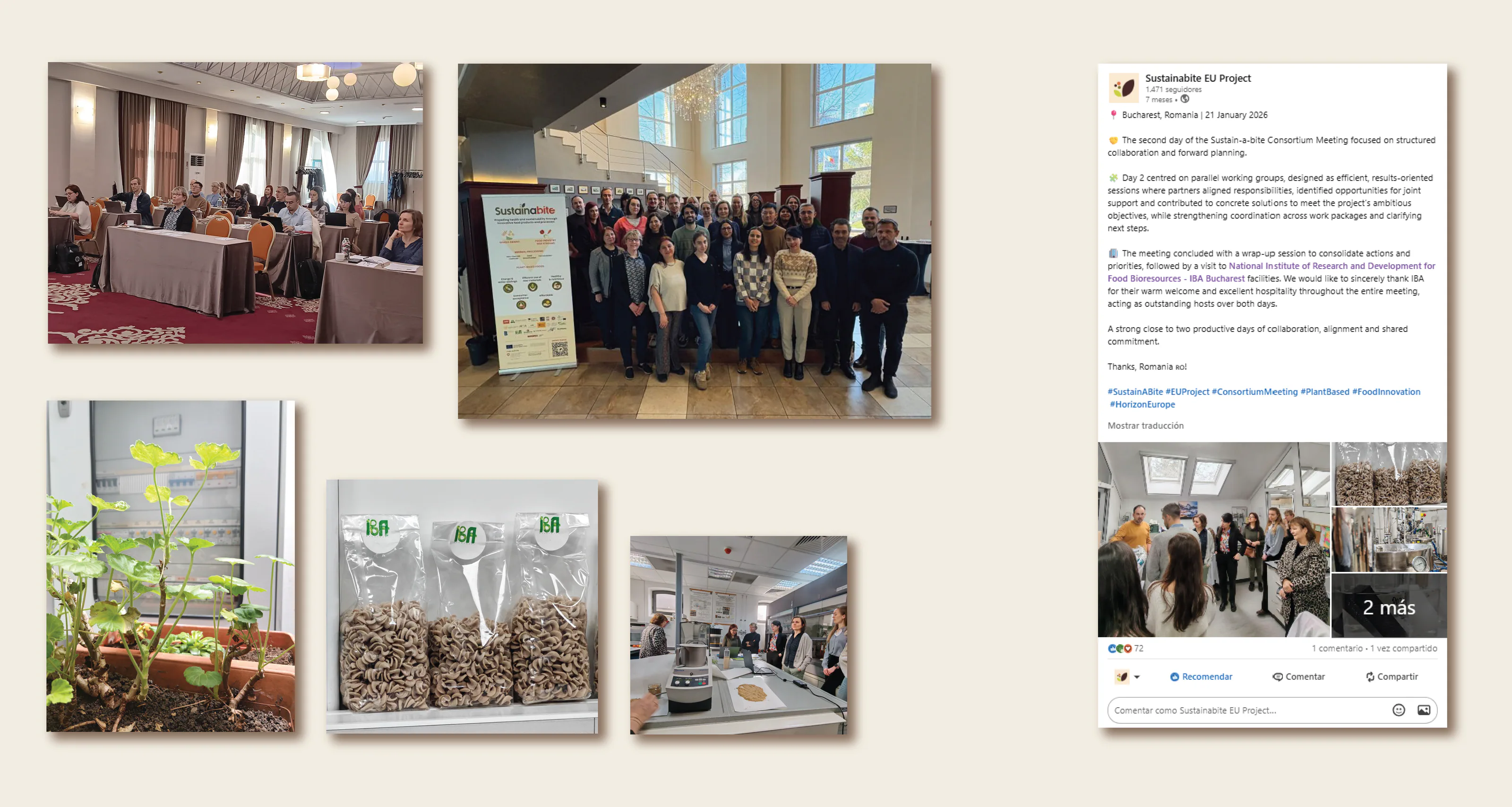Meeting in Romania